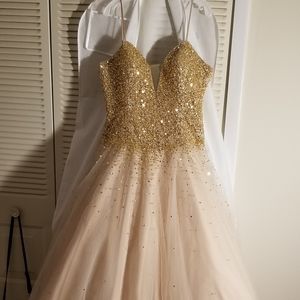 Size 16 Gold Dress